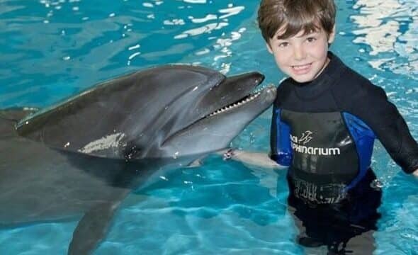 DubaiSwimwithDolphins10-e1760077129617.jpg