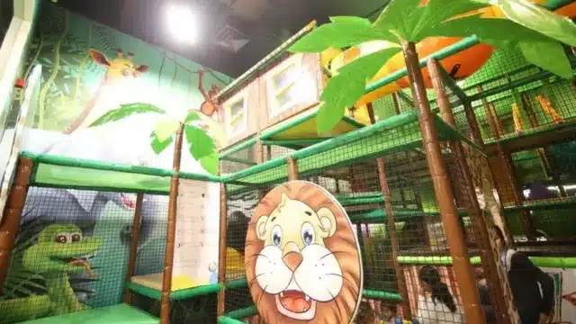 Kids-Jungle-1.webp