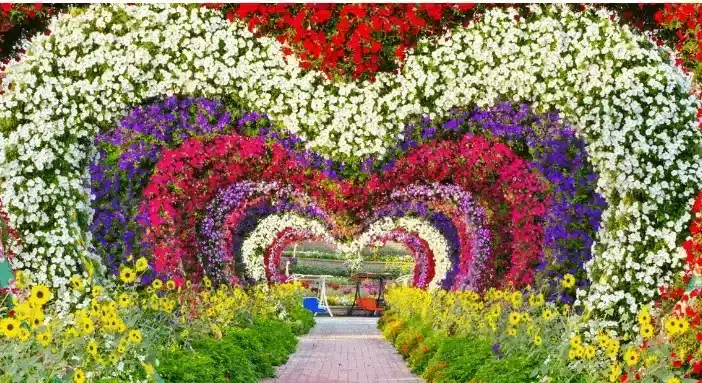 Miracle-garden-offers-jpg.webp