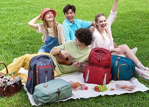 american-tourister.jpg