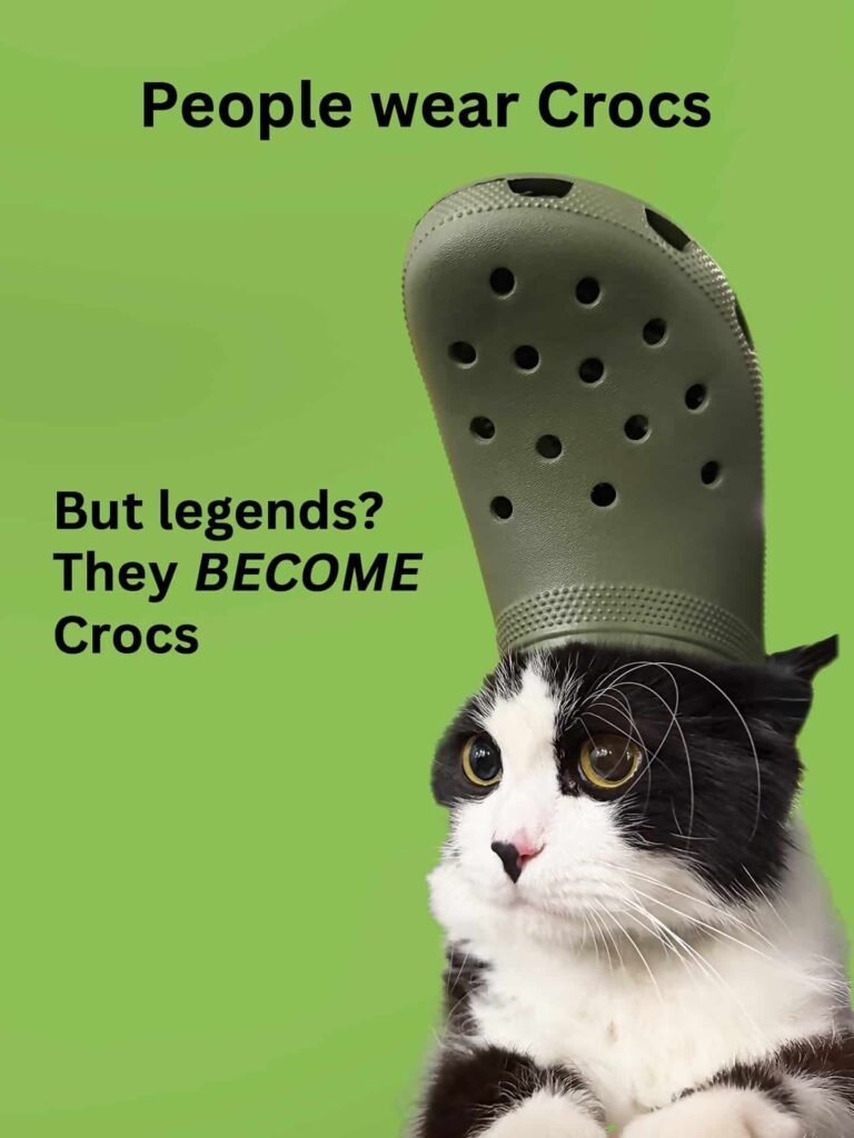 crocs.jpg