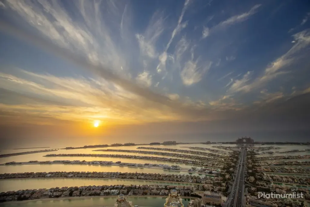 view-at-the-palm.webp