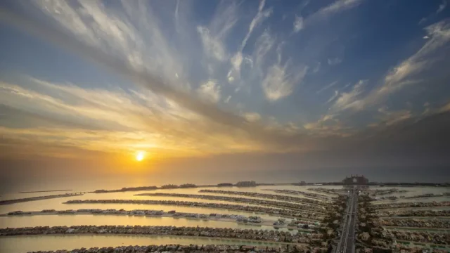 view-at-the-palm.webp